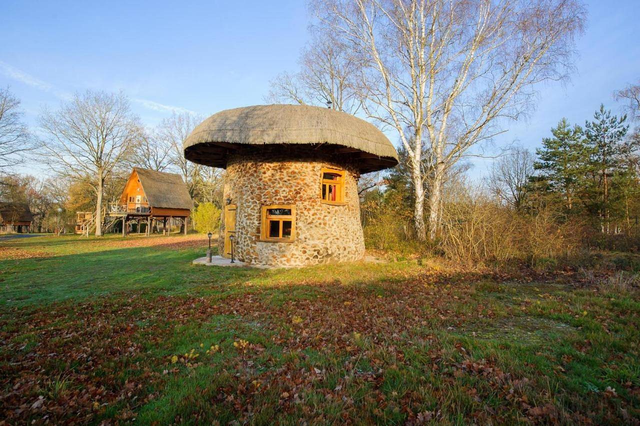Duplex Suite in Fère-en-Tardenois, Aisne