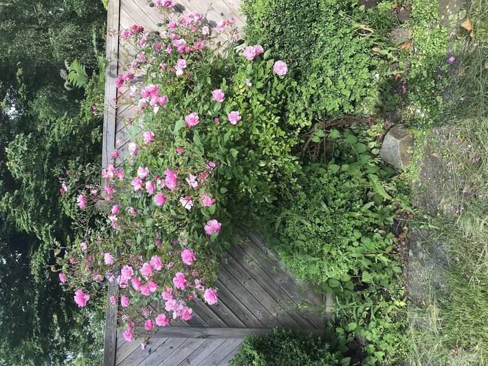 Ferienwohnung für 8 Personen, mit Balkon und Terrasse sowie Garten in Eckwarden
