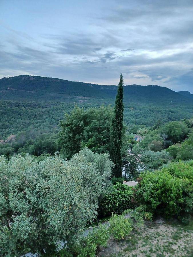 Le Logis de Saint-Antoine in Bagnols-en-Forêt, Côte méditerranéenne (France)