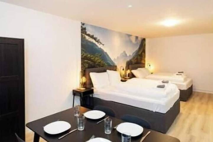 Ganze Wohnung, Modernes Apartment in der Innenstadt - Studio Apartment in Würzburg, Fränkisches Weinland