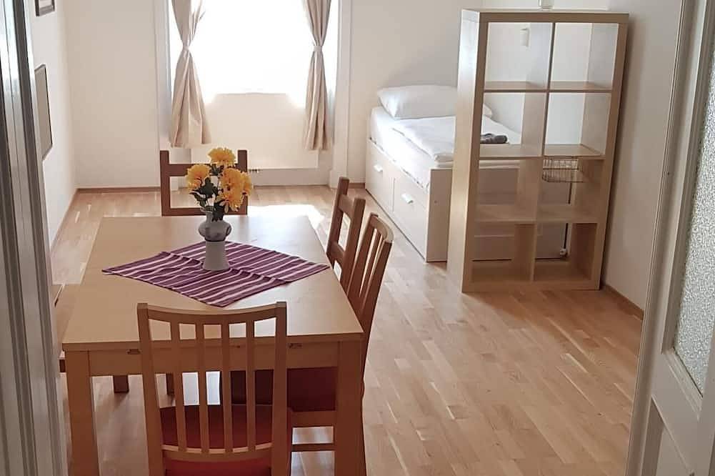 Ganze Wohnung, Gro es Apartment mit 2 Schlafzimmern im Zentrum in Wien Innenstadt, Wien