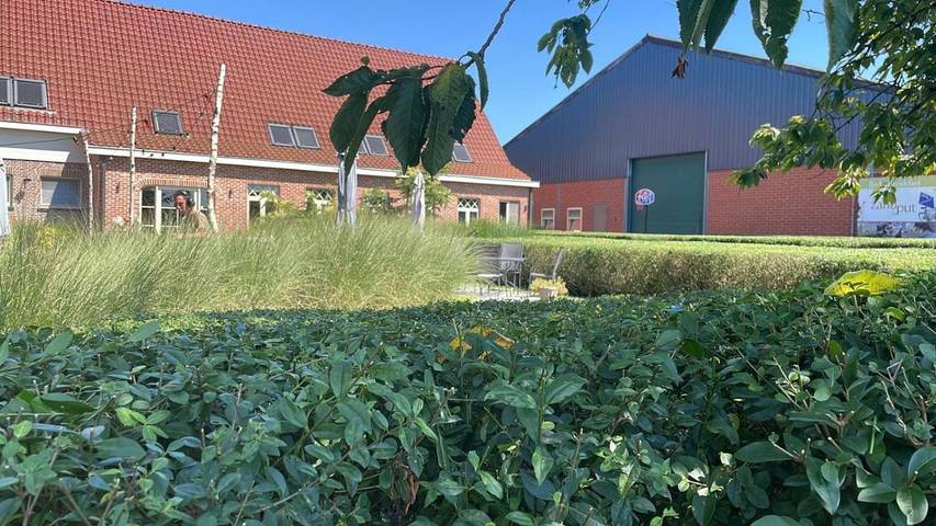 Chambre d’hôte pour 2 personnes, avec terrasse et jardin à Balen (Belgique)