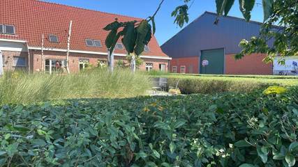 Chambre d’hôte pour 2 personnes, avec jardin et terrasse à Balen (Belgique)