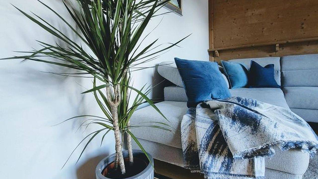 Ganze Ferienwohnung, Ferienwohnung für 3 Personen (72 m²) in Pertisau in Pertisau, Eben am Achensee