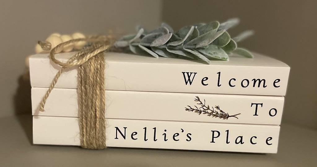 Nellie's Place- Quiet Mtn. Getaway with Scenic View, Wifi, & Community Amenities in Cherry Log, Chattahoochee National Forest