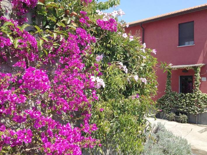 Chambre d’hôte pour 4 personnes, avec jardin, animaux acceptés à La Spezia - 3