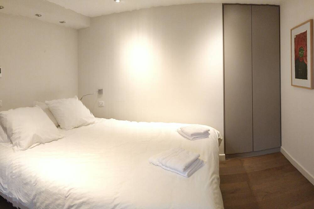 Appartement entier, Appartement 10 P,  jardin  privé 400 m2,  piscine, vue  lac, château montagnes, in Menthon-Saint-Bernard, Région d'Annecy