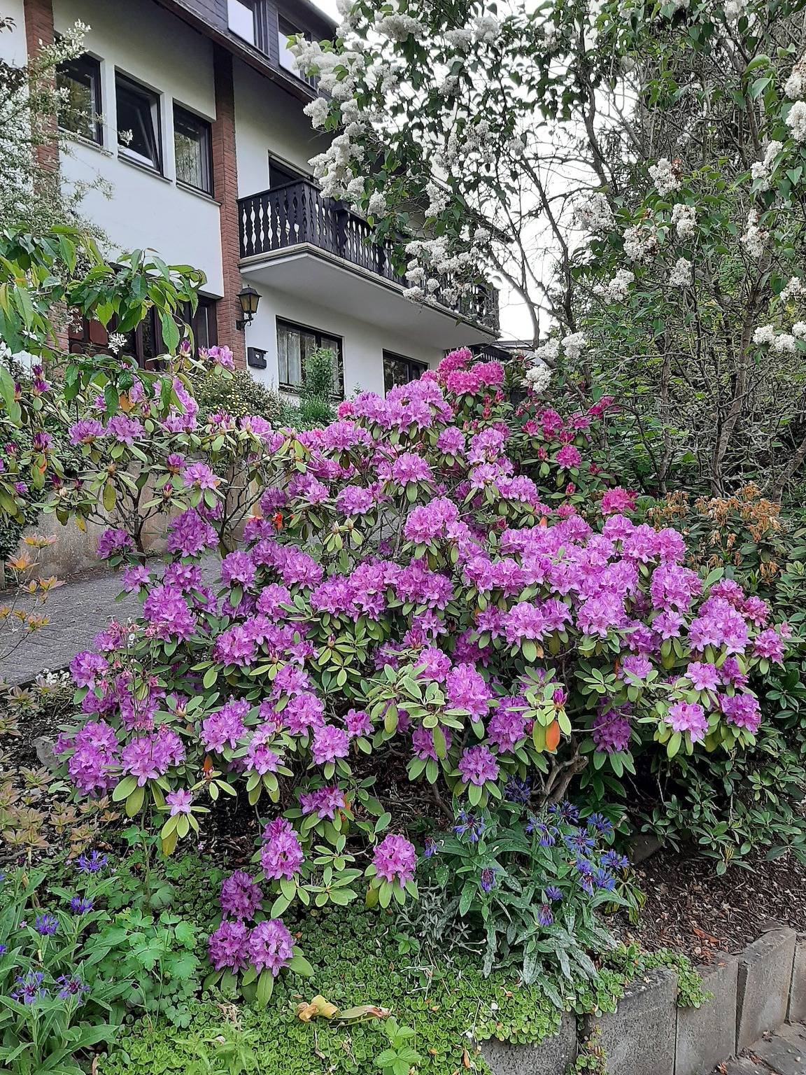 Geheel vakantieappartement, Vakantieappartement voor 4 personen met terras in Hallenberg, Hochsauerlandkreis
