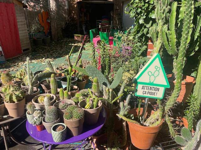 Maison d’hôte pour 2 personnes, avec terrasse, animaux acceptés à Douai - 4