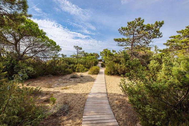 Villa pour 16 personnes, avec piscine et jardin à Castiglione della Pescaia - 3