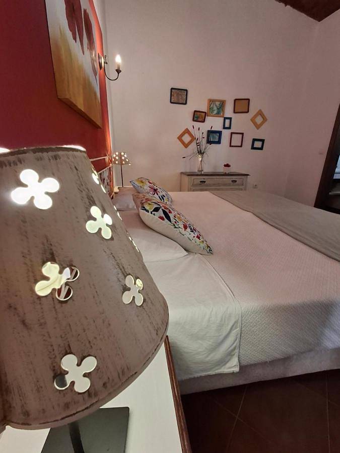 Casa da Aldeia in Mina de São Domingos, Corte do Pinto