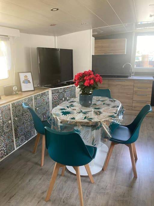 Bateau pour 4 personnes, avec vue, animaux acceptés dans Oise - 4