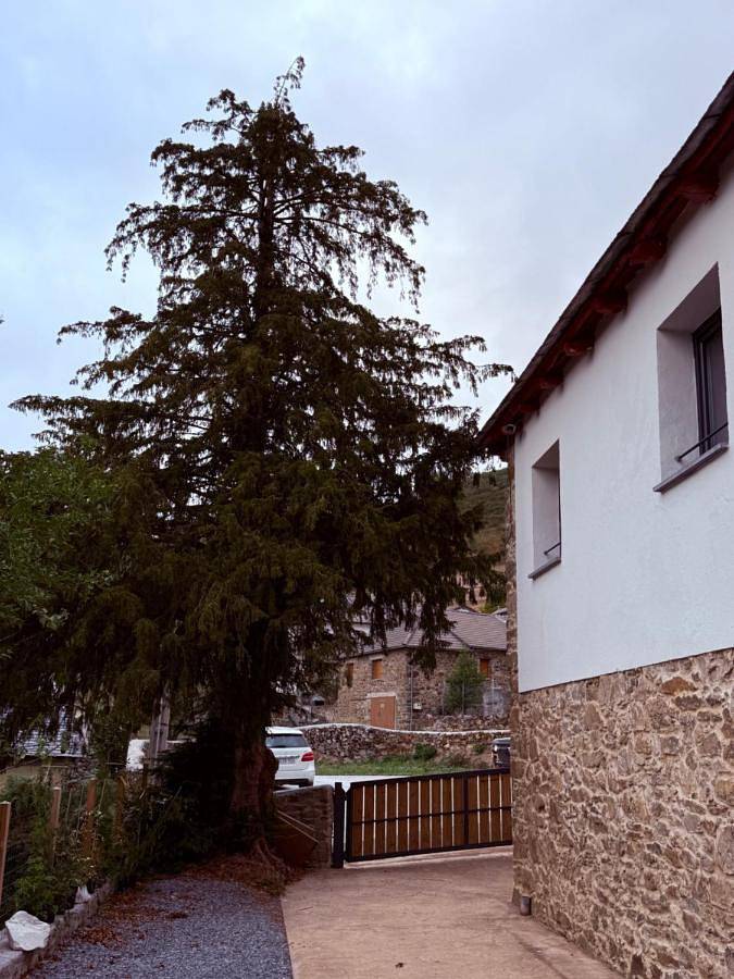 Apartamento de vacaciones para 4 personas, con terraza además de jardín y vistas en Parque Natural de las Fuentes del Narcea, Degaña e Ibias - 4