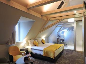 Hôtel pour 2 personnes, avec terrasse ainsi que sauna et vue dans Ensisheim