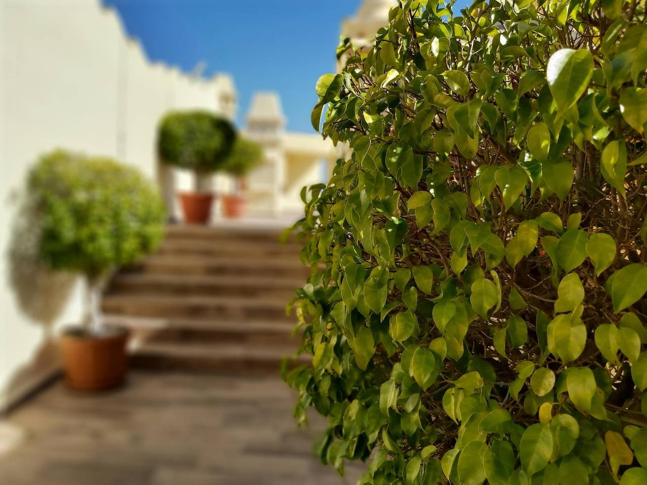 Entire holiday apartment, Del Parque Flats - Puerto Marina Island in Benalmádena Costa, Costa del Sol