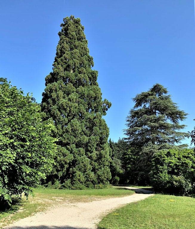 Manoir Le Pont Chevalier in Cuise-la-Motte, Oise