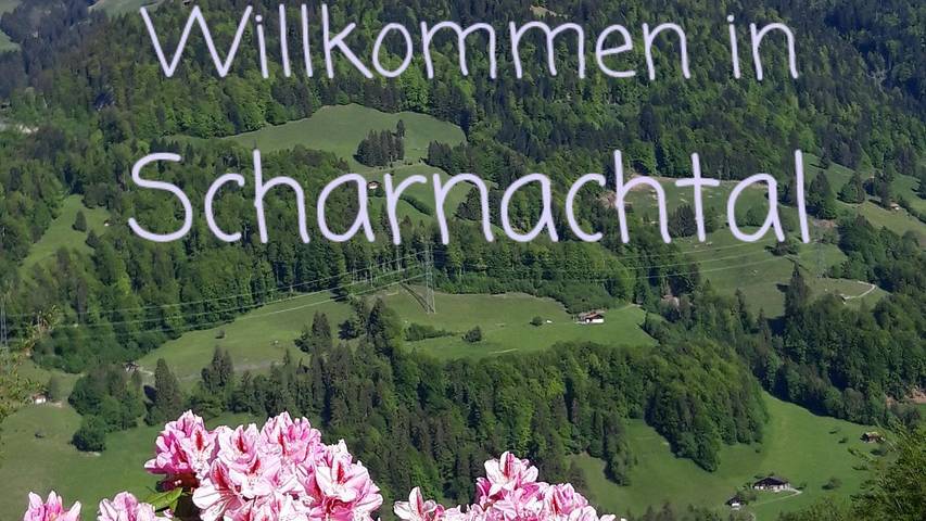 Ferienwohnung für 4 Personen, mit Balkon im Berner Oberland - 3