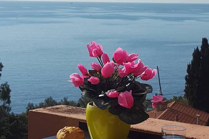 Ganze Wohnung, Ferienwohnung mit Meerblick: Monte Carlo Monaco Nice Côte d'Azur Cannes in Roquebrune-Cap-Martin, Mittelmeerküste (Frankreich)