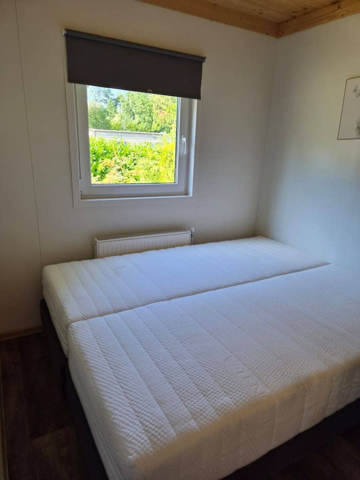 Cube chalet voor 4 personen | De Otterberg in Nationalpark Dwingelderveld