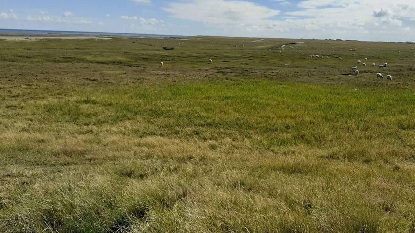 Ferienhaus mit Meerblick für 5 Personen, mit Terrasse auf Rømø - 4
