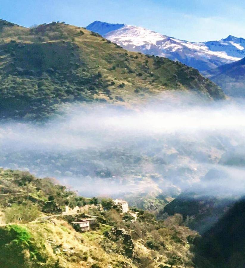 Cortijo La Solana in Güejar Sierra, Provincia de Granada