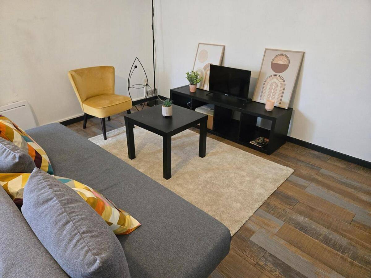 Appartement entier, ''Appartement spacieux, ultra central-Gare et centre 1 mn a pied'' in Muret, Toulouse et ses environs
