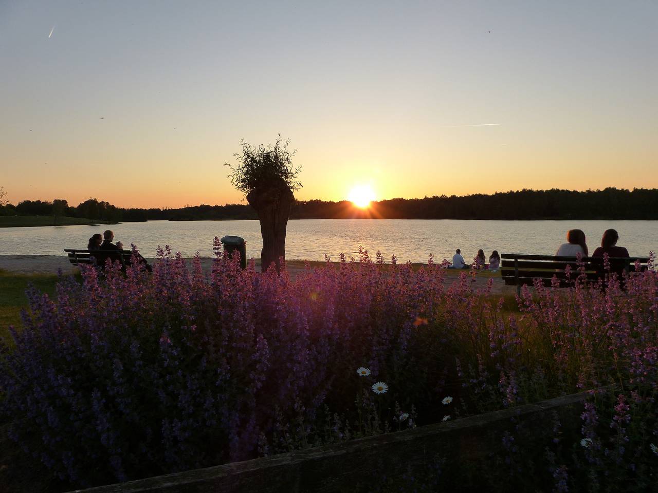 Ganze Ferienwohnung, Einraumappartement am See in Gronau (Münsterland), Münsterland
