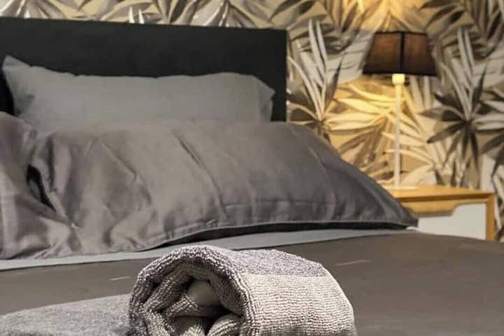 Appartamento intero, TourinTurin appartamento di charme nel cuore del centro storico in Torino, Provincia di Torino
