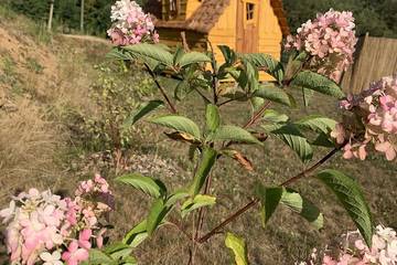 Gîte pour 2 personnes à Champagney