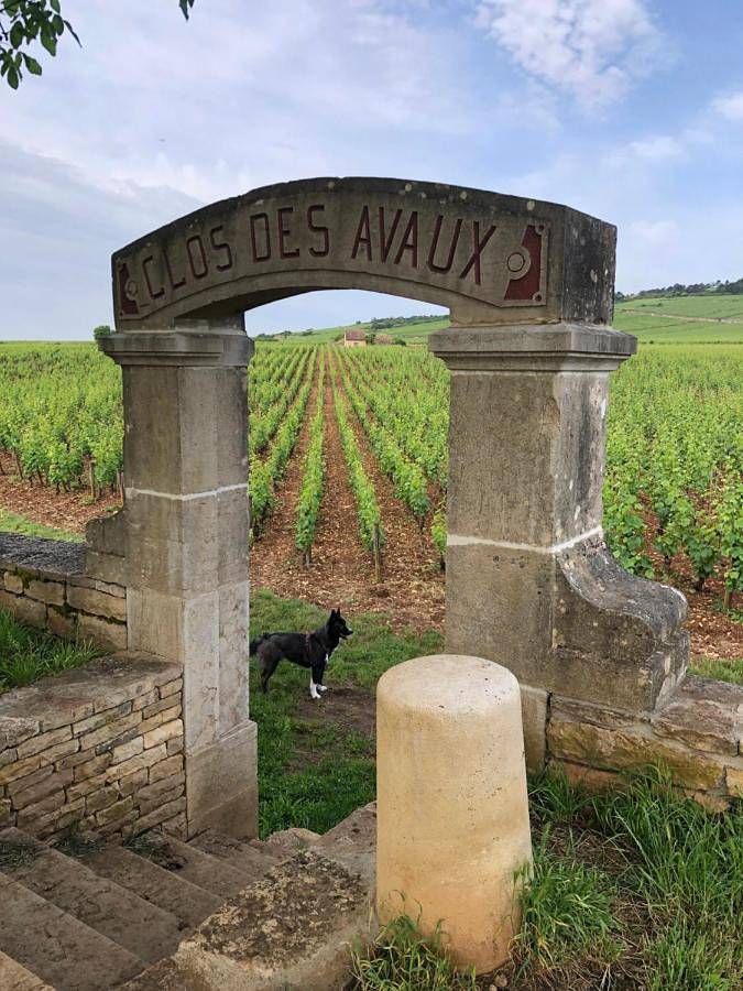 Appartement entier, La route des vins in Beaune, Région de Beaune