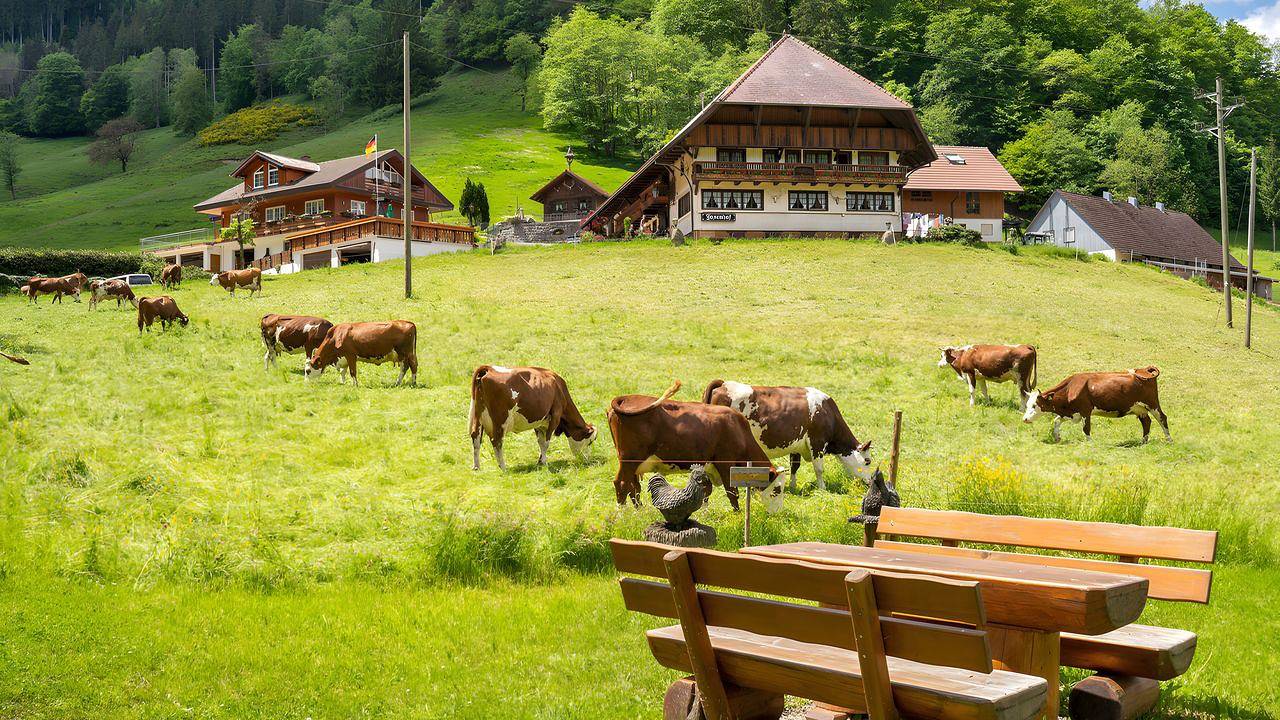 Mehrbettzimmer für 4 Personen in Wolfach in Wolfach, Kinzig Valley