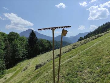 Ferienwohnung für 4 Personen in Schneizlreuth, Bayerische Alpen, Bild 4