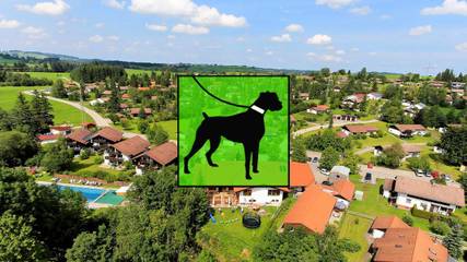 Ferienhaus für 6 Personen in Nesselwang, Allgäuer Alpen, Bild 2