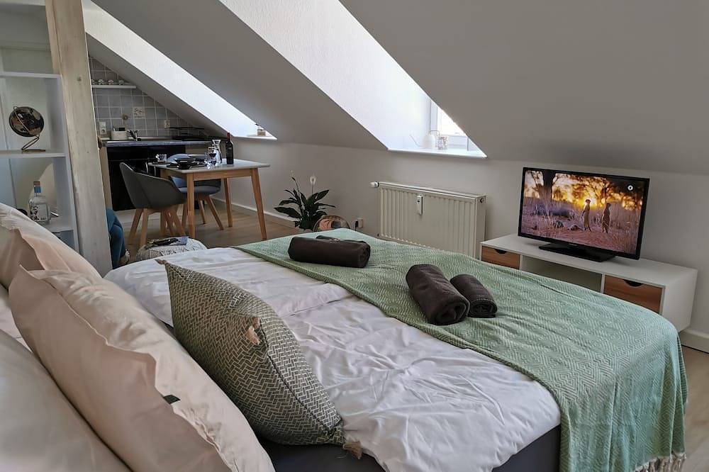 Ganze Wohnung, Fynbos Studio Dg in der Alstadt, Frauenkirchenblick, Parkplatz in Meißen, Meißen Region