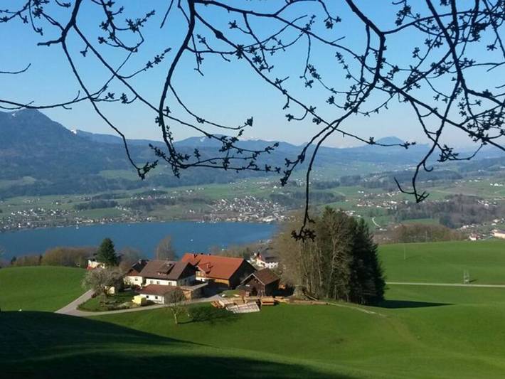 Ferienwohnung für 2 Personen, mit Garten und Balkon sowie Pool am Mondsee