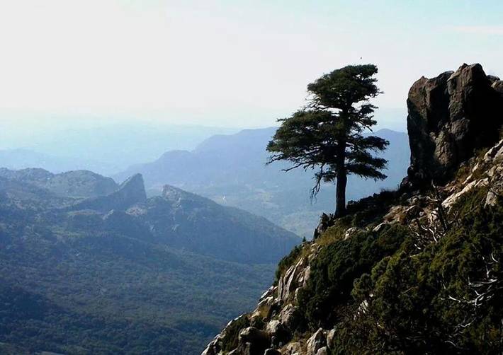 Casa rural para 10 personas, con balcón además de piscina y jacuzzi en Sierra de Cádiz - 4