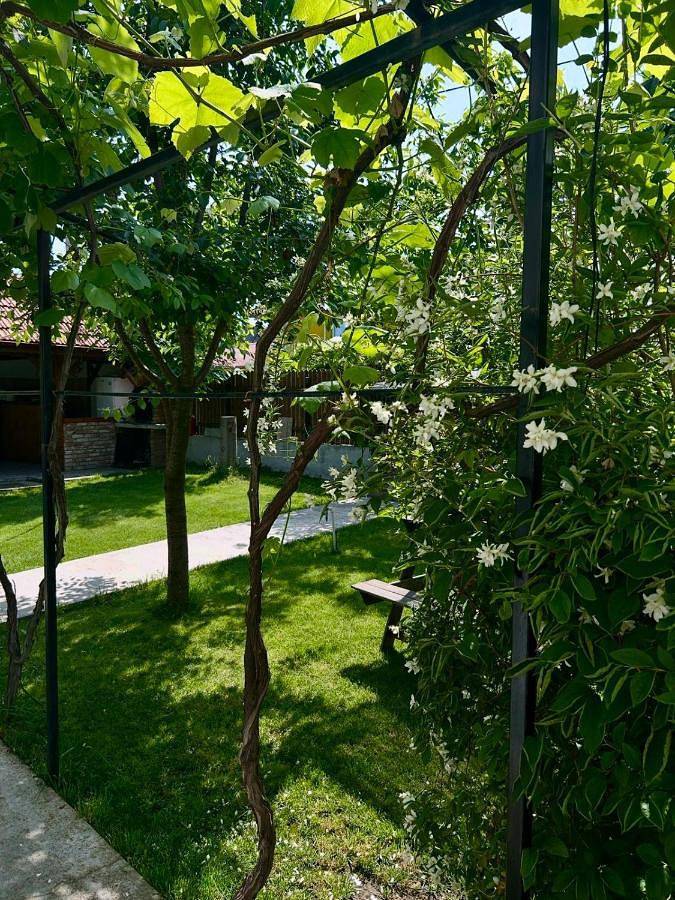 Maison d’hôte pour 2 personnes, avec jardin et vue, animaux acceptés dans Vama Veche - 4