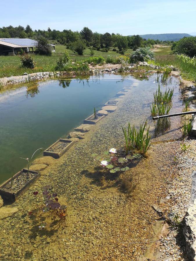 Chambre d’hôte pour 2 personnes, avec piscine et jardin dans les Alpes-de-Haute-Provence - 4