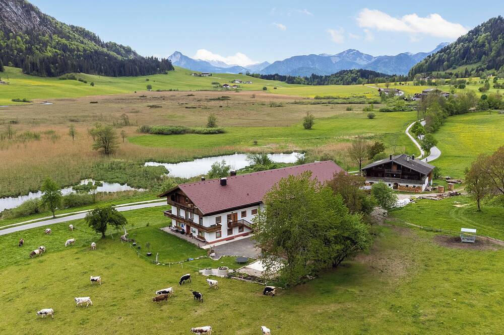 Ganze Wohnung, Ferienwohnung am Bauernhof, nur 2,5 km zum See in Walchsee, Kaisergebirge