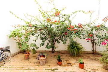 Vakantieappartement voor 4 Personen in Central Seville, Sevilla, Afbeelding 2