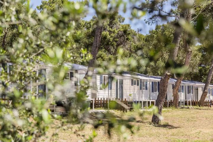 Camping für 6 Personen, mit Terrasse und Pool, mit Haustier in Süditalien - 3