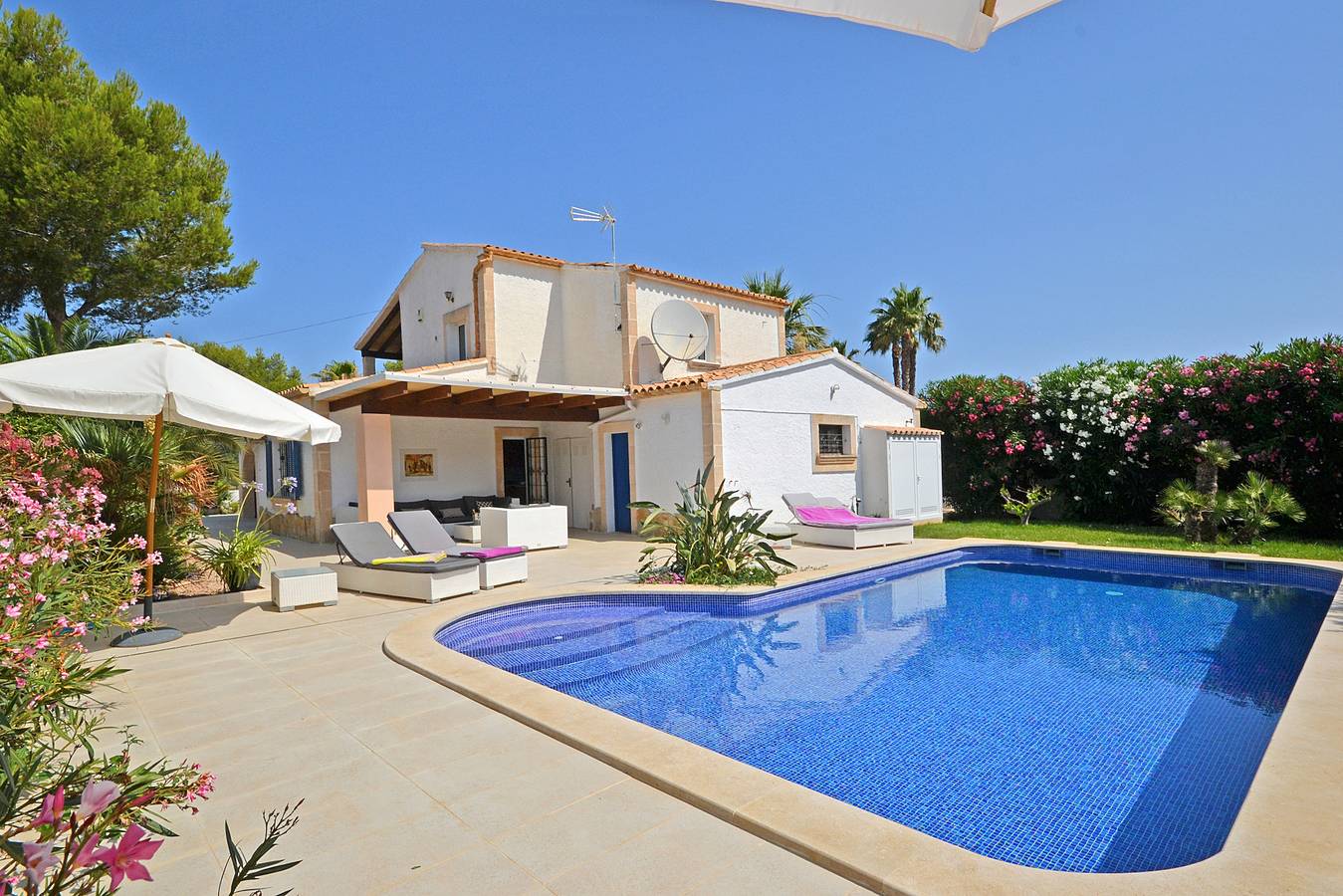 Odette in Bonaire, Alcúdia