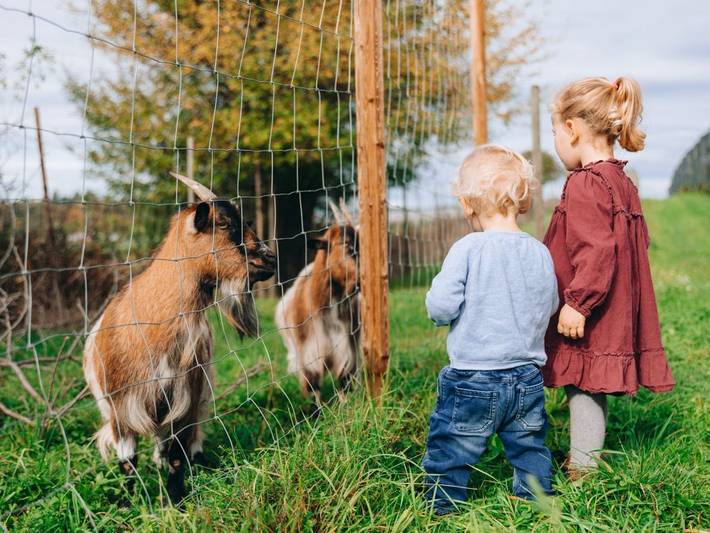 Bauernhof für 4 Personen, mit Garten am Bodensee - 3