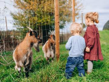 Bauernhof für 4 Personen in Überlingen, Region Bodensee-Oberschwaben, Bild 2