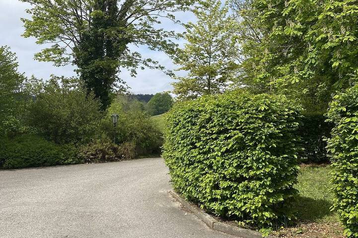 Ganze Wohnung, Ferienwohnung + Pferde-Boxen auf dem Bauernhof idyllisch im Allgäu / Kaufbeuren in Kaufbeuren, Bayerisch Schwaben