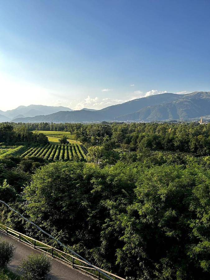 Location de vacances pour 6 personnes, avec jardin et vue à Pederobba - 2