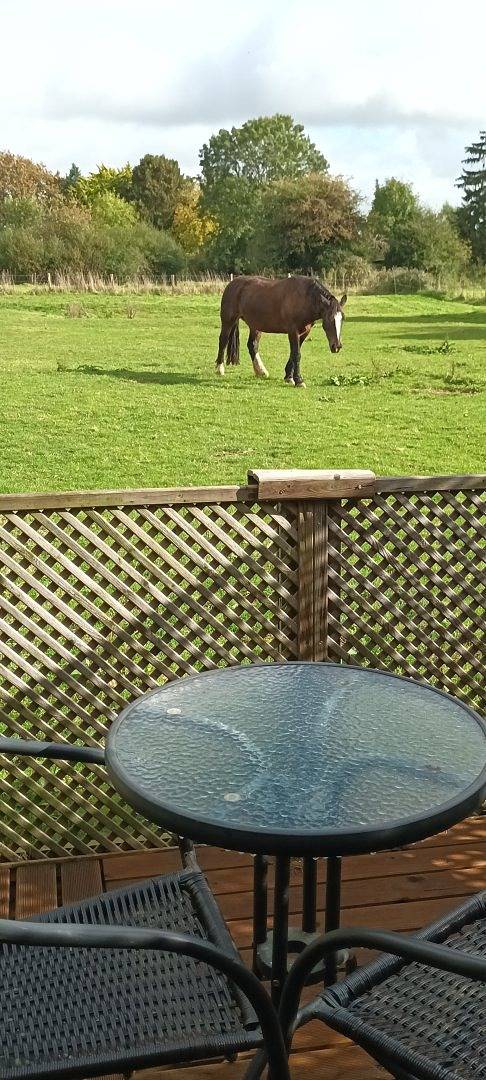 Gîte O Vert / Studio à 2 km du Bec Hellouin in Malleville-sur-le-Bec, Région de Bernay