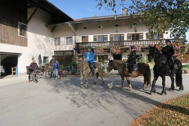 Bauernhof für 4 Personen, mit Garten, kinderfreundlich am Chiemsee - 4