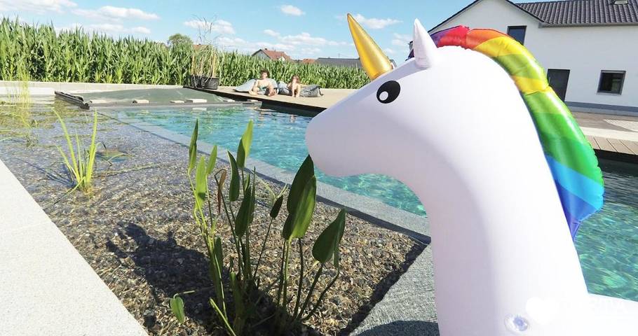 Ferienwohnung für 8 Personen, mit Garten und Ausblick sowie Pool in Kötz - 2