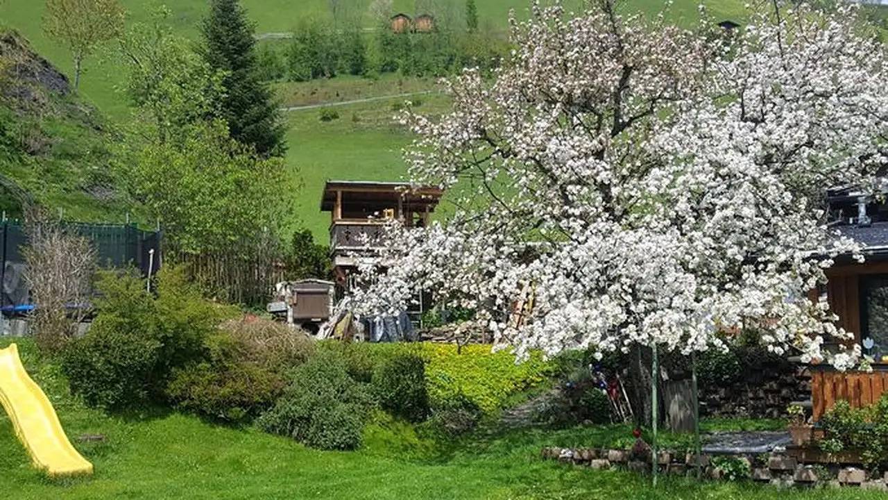 Ferienhaus für 8 Personen (16 m²) in Rauris in Rauris, Ski Amadé
